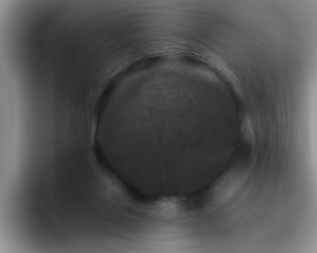 X0000092210076200709141034