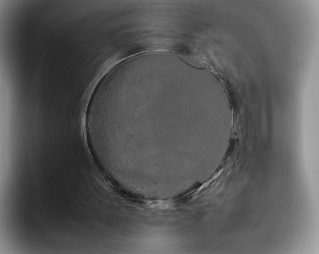X0000092210099200709141033