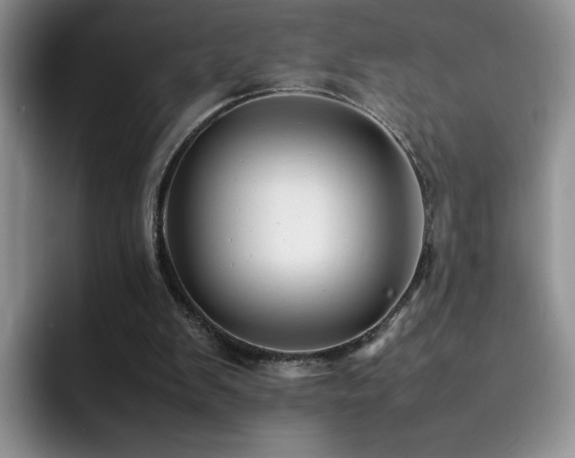 X0000092210103200709141033