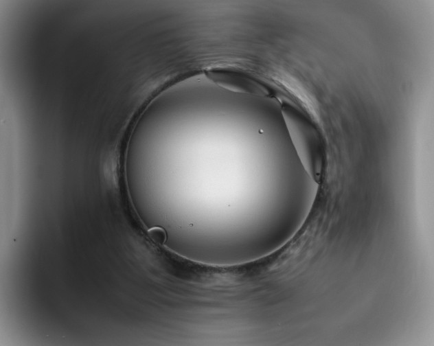X0000092210107200709141033