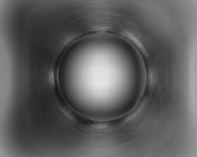 X0000092210110200709141033