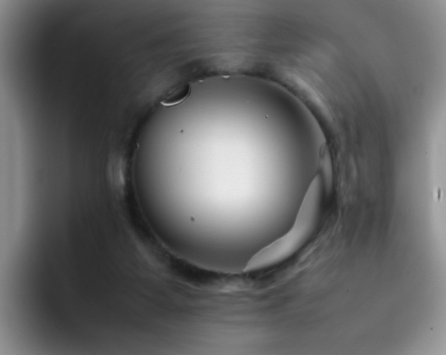 X0000092210115200709141033