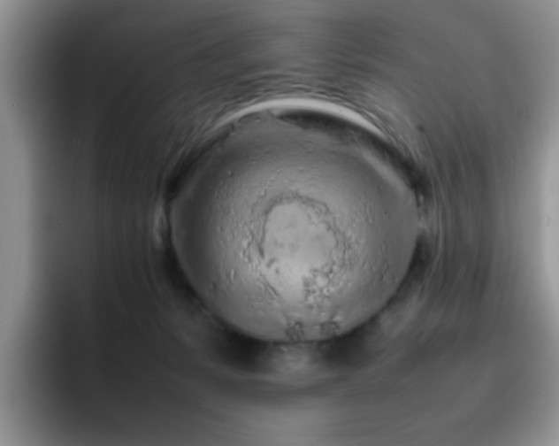 X0000092210127200709141033