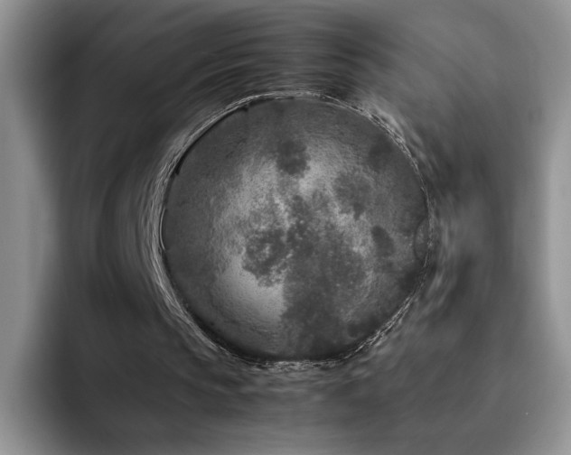 X0000092210145200709141032