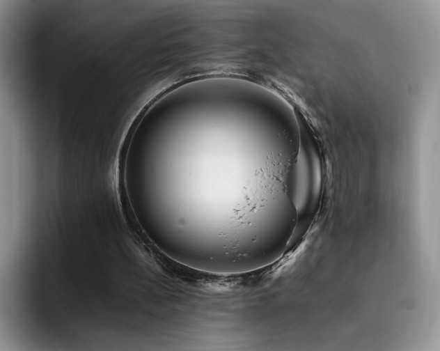 X0000092210148200709141032