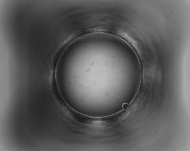 X0000092210153200709141032