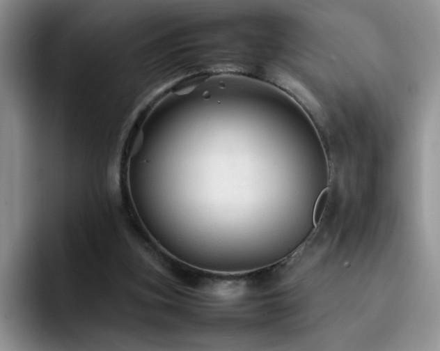 X0000092210155200709141032