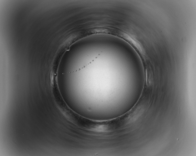 X0000092210157200709141032