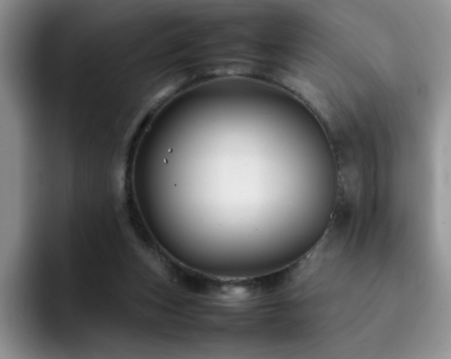 X0000092210159200709141032