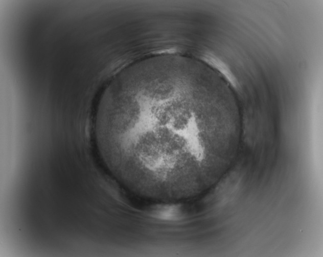 X0000092210161200709141032