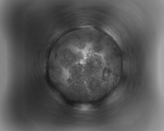 X0000092210165200709141032