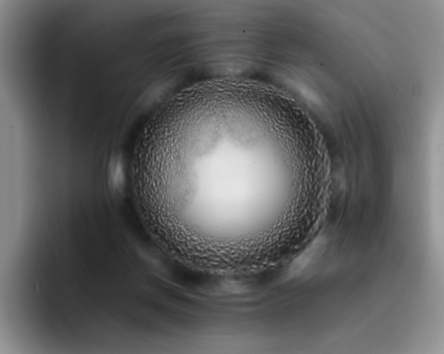 X0000092210166200709141032