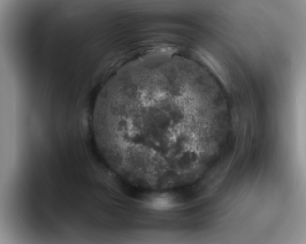 X0000092210169200709141032