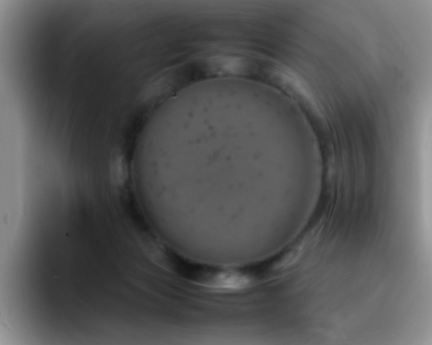 X0000092210173200709141033