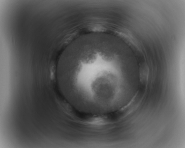 X0000092210175200709141033