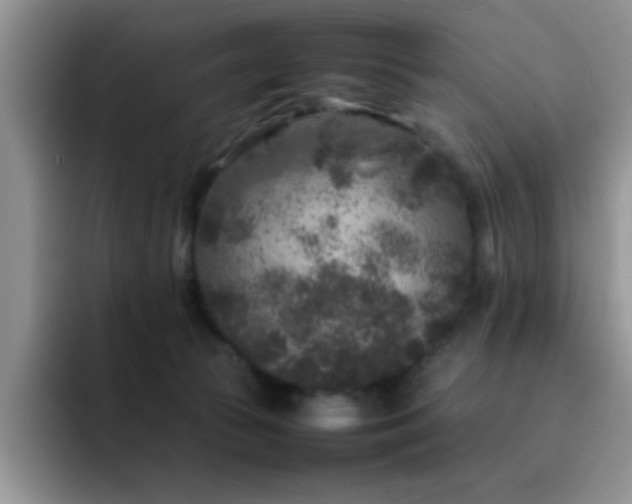 X0000092210177200709141033