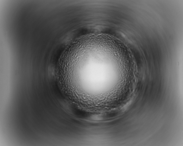 X0000092210178200709141033