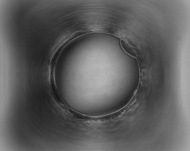 X0000092210194200709141032