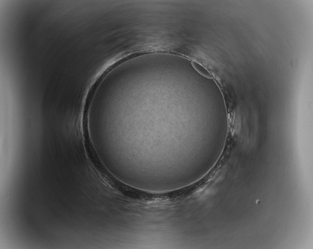 X0000092210196200709141032