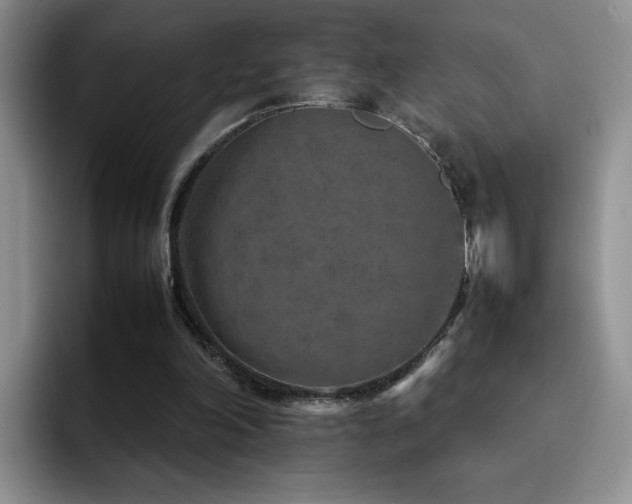 X0000092210198200709141032