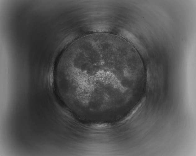 X0000092210202200709141032