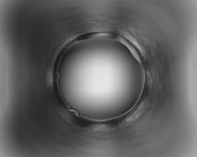 X0000092210203200709141032
