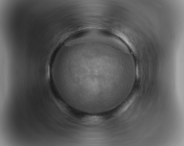 X0000092210205200709141032