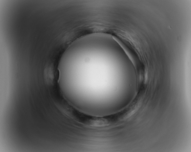 X0000092210215200709141032