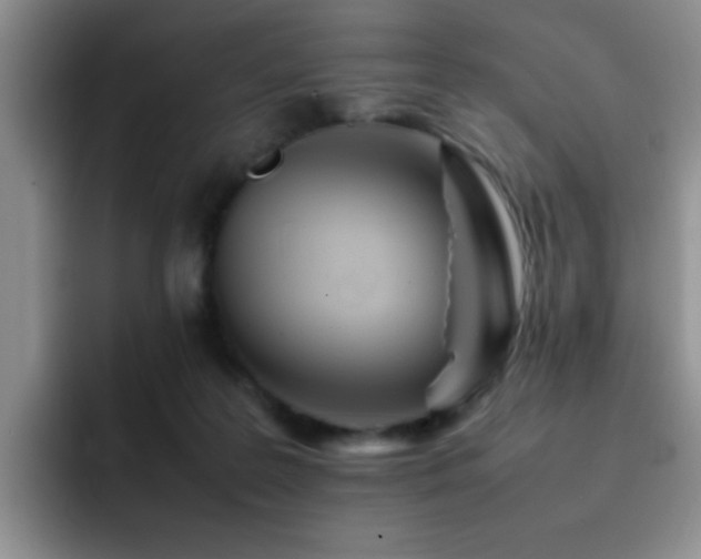 X0000092210219200709141032