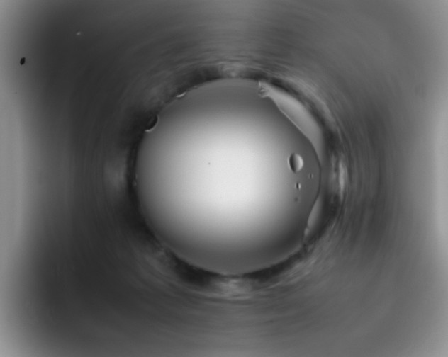 X0000092210221200709141032