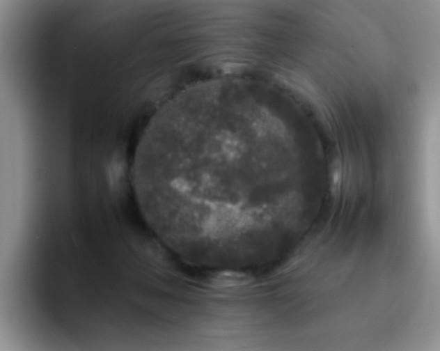 X0000092210222200709141032