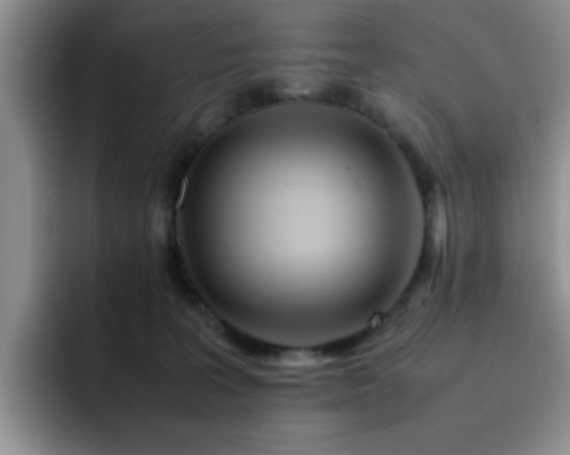 X0000092210227200709141032