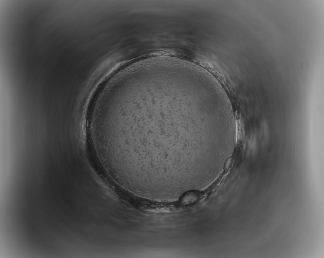 X0000092210243200709141031