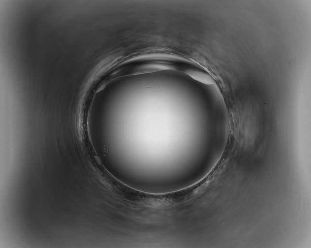 X0000092210245200709141031