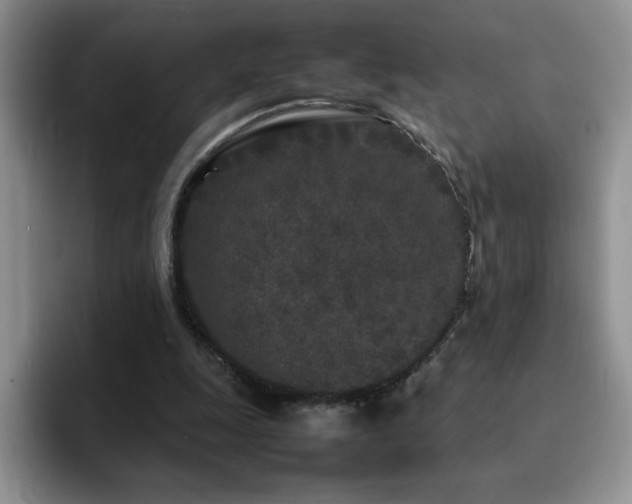 X0000092210247200709141031