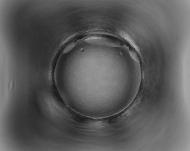 X0000092210249200709141031