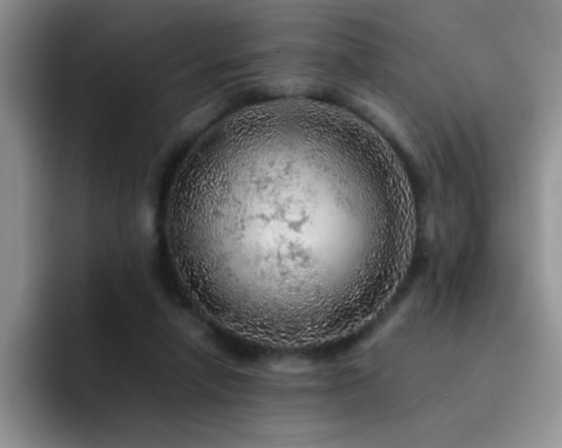 X0000092210258200709141031