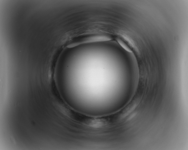 X0000092210261200709141031