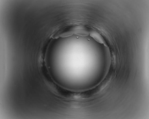 X0000092210264200709141031