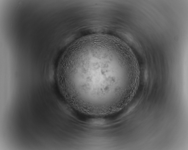 X0000092210266200709141031