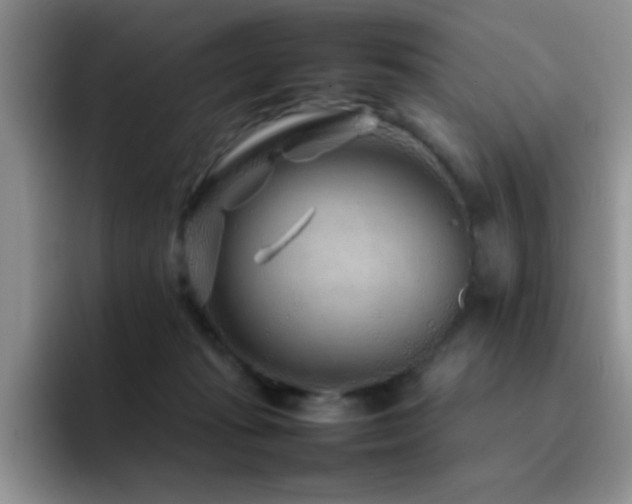 X0000092210269200709141031