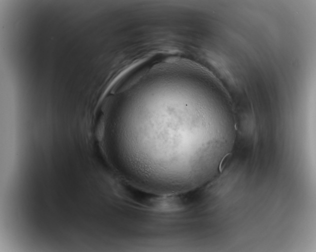 X0000092210273200709141031