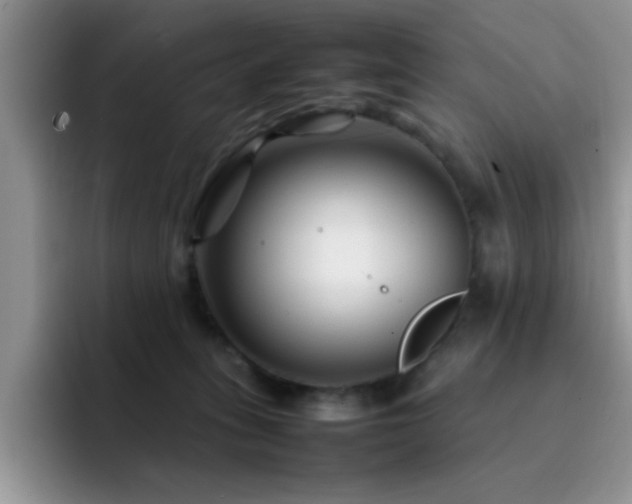 X0000092210275200709141031