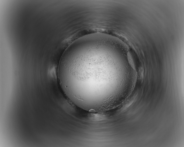 X0000092210286200709141032