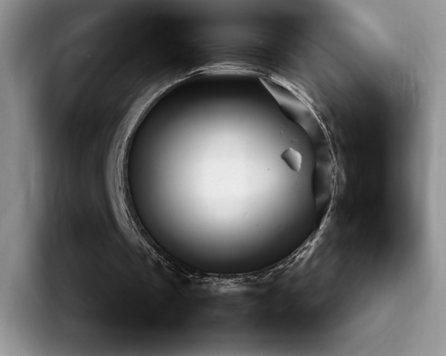 X0000092210289200709141031