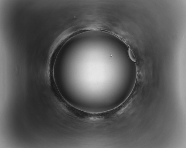 X0000092210296200709141031