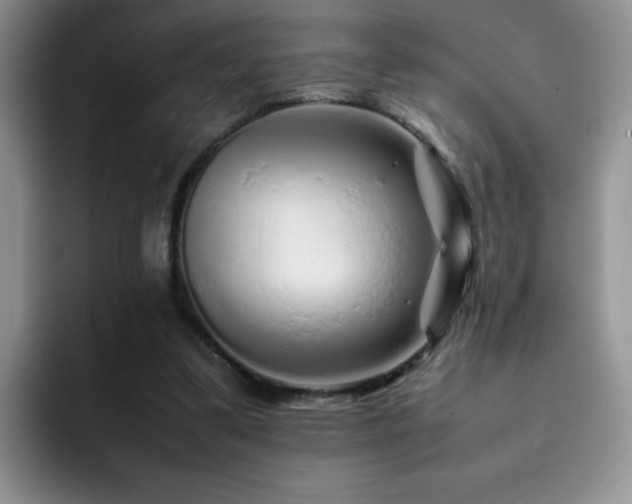 X0000092210299200709141031