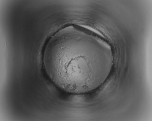 X0000092210303200709141031