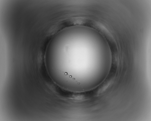 X0000092210311200709141031