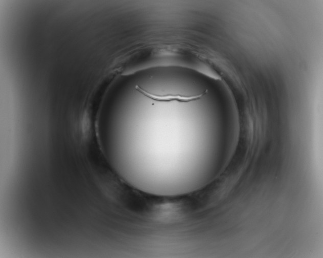 X0000092210312200709141031